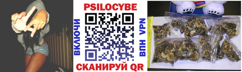 ОМГ ОМГ   Вязьма  Галлюциногенные грибы MAGIC MUSHROOMS 